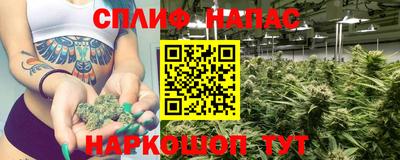 стафф Будённовск