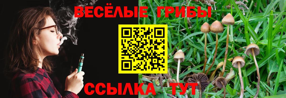 Псилоцибиновые грибы Psilocybe Лосино-Петровский