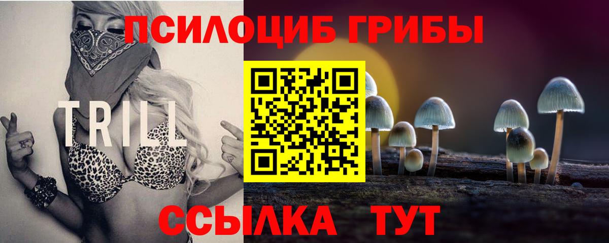 Лосино-Петровский  где найти наркотики  Галлюциногенные грибы ЛСД  Вход с VPN  Псилоцибиновые грибы GOLDEN TEACHER 